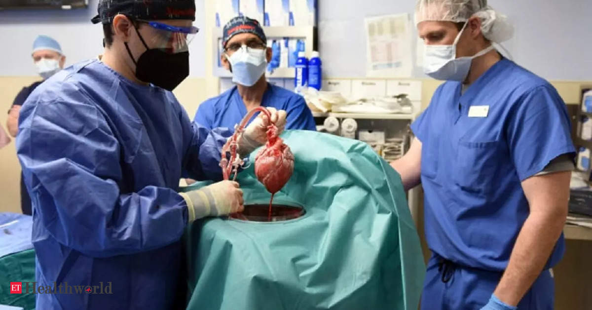인간 이식에 사용된 돼지 심장에서 바이러스 발견, Health News, ET HealthWorld