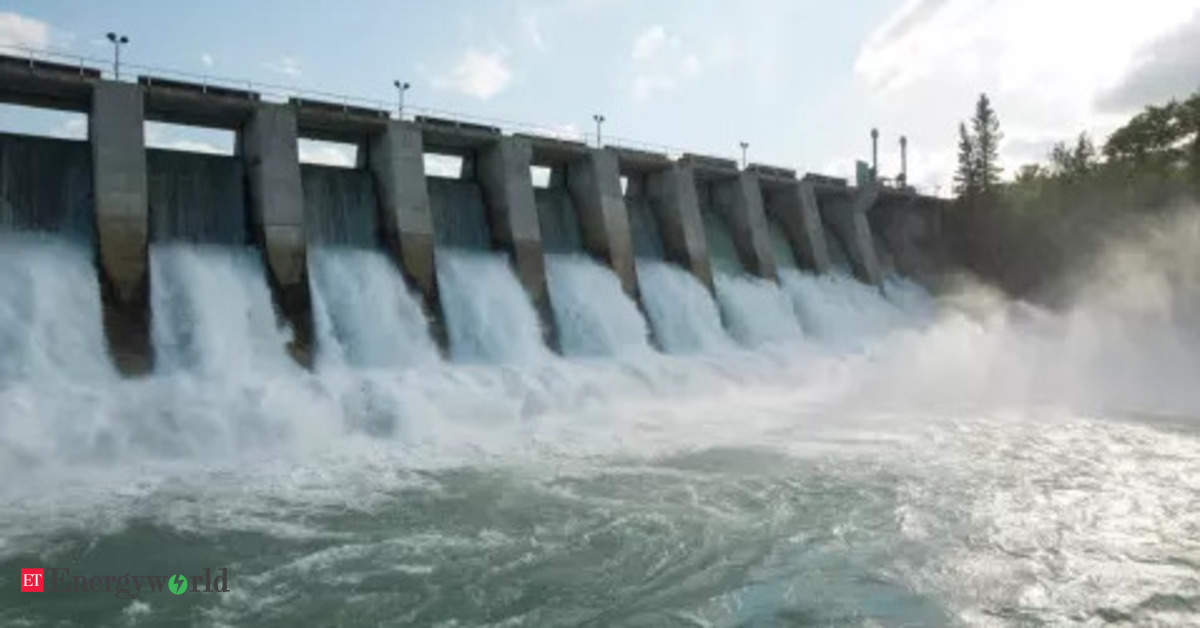 Tamil Nadu power utility to conduct study for 2,500 MW hydropower ...