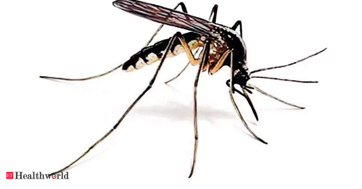 Kolkata: Covid less severe in dengue zones, says study – ET HealthWorld