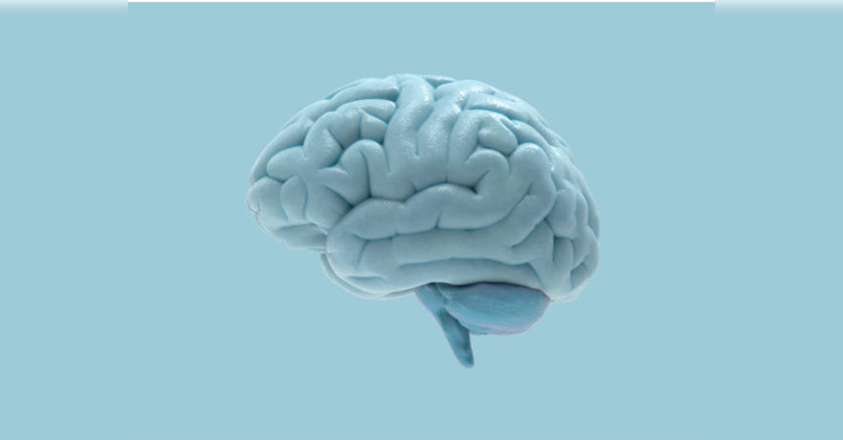 Research: Brain ripples may help bind information across human cortex ...
