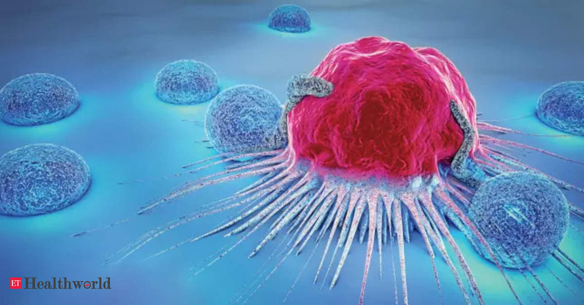 Myeloma: Researchers report encouraging immunotherapy options for ...