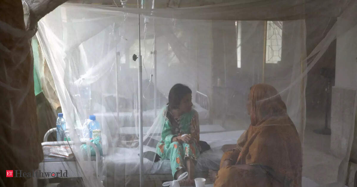 pakistan Malaria and diseases spreading fast in floodhit Pakistan