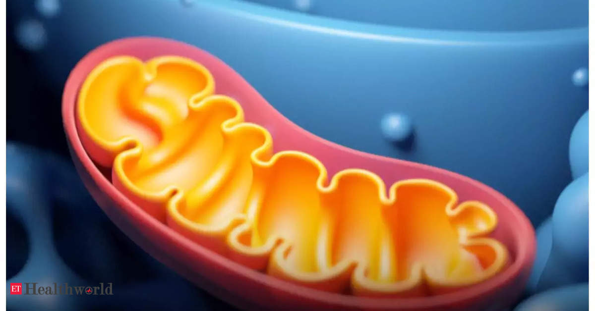 Mitochondria: How Coronavirus caused Covid pneumonia, reduced blood ...