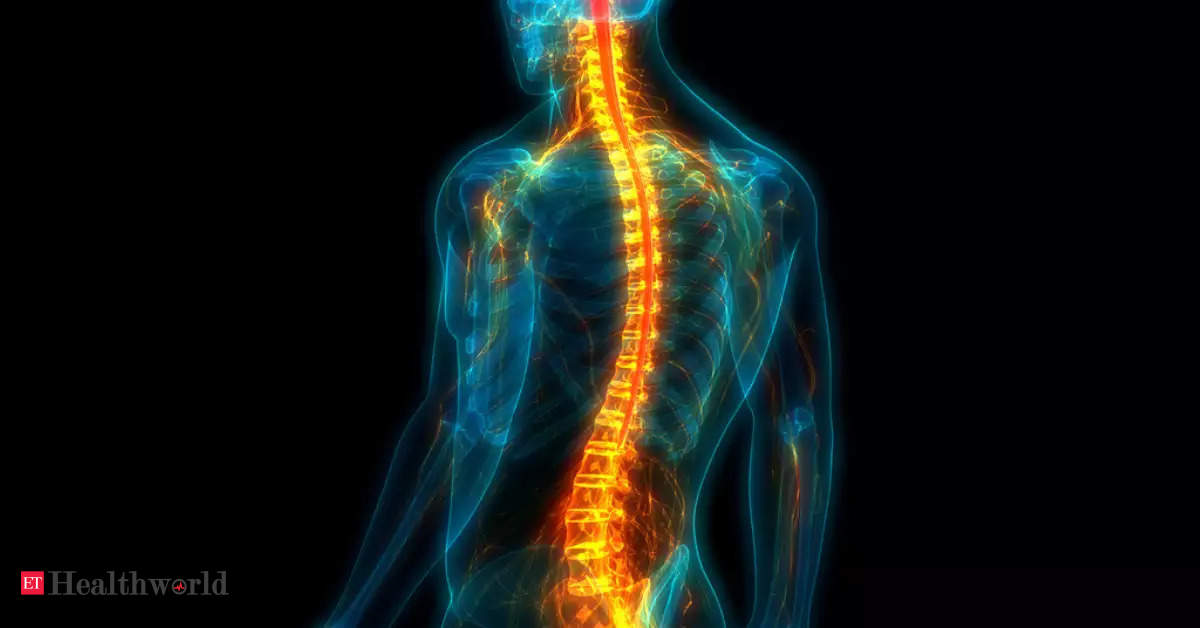 Researchers Demonstrate New Method for Spinal Cord Tissue Repair, Health News, ET HealthWorld