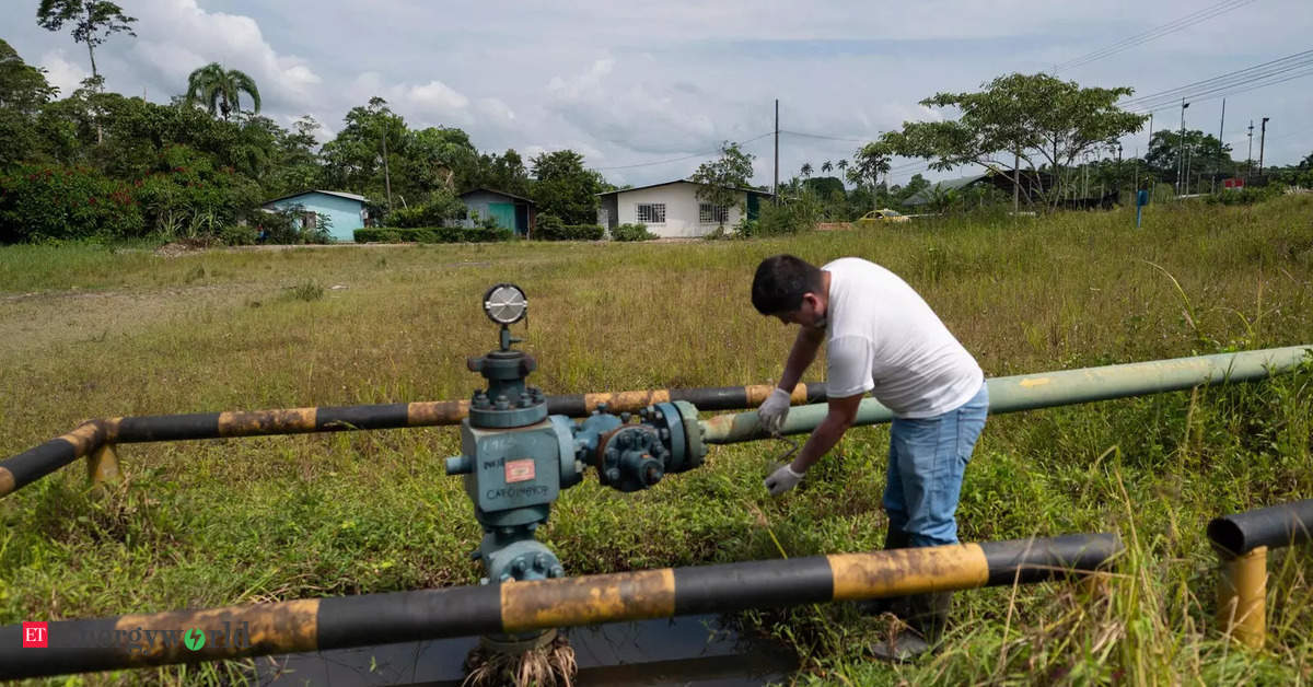 Amazon pollution: the stain on Ecuador's oil boom, Energy News, ET ...