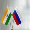 Visa free group journey between Russia and India anticipated by the tip of this yr